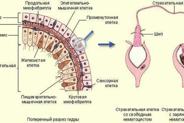 Ссылка кракена kraken clear com