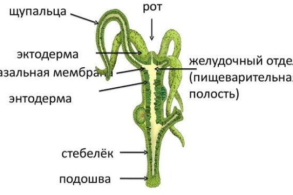 Кракен через тор