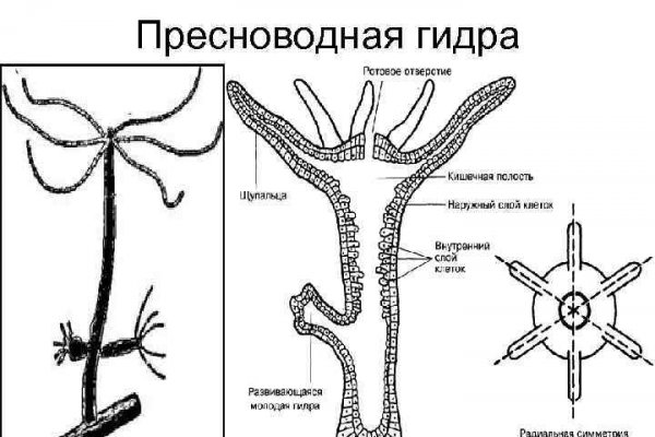 Кракен маркет