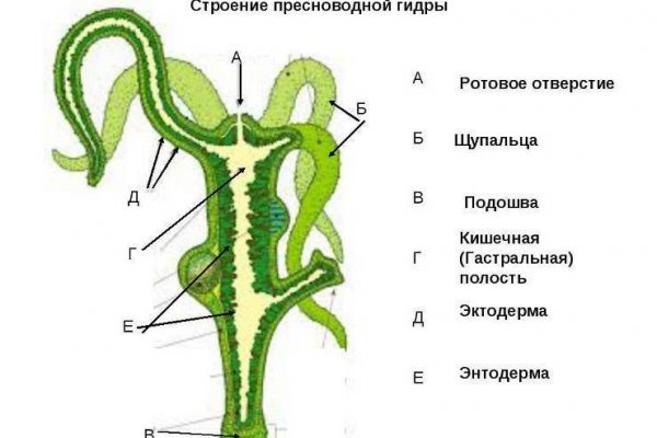 Кракен макет плейс